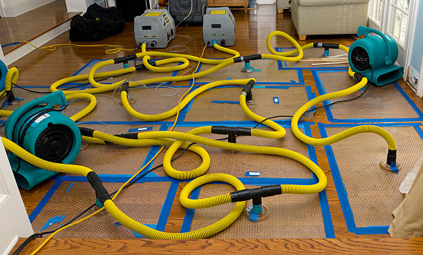Professional Crawl Space Water Removal technician working in Springville, UT